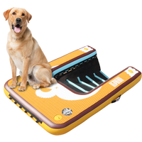 Niphean Inflatable Dog Boat Ramp