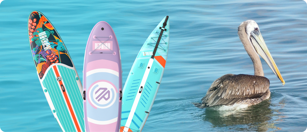 What to Do If You Encounter Wildlife While Paddle Boarding