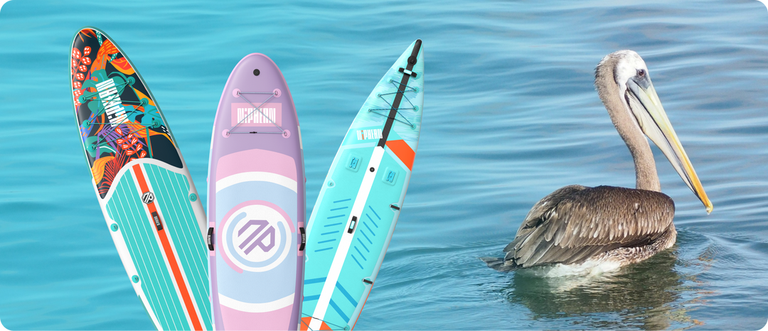 What to Do If You Encounter Wildlife While Paddle Boarding