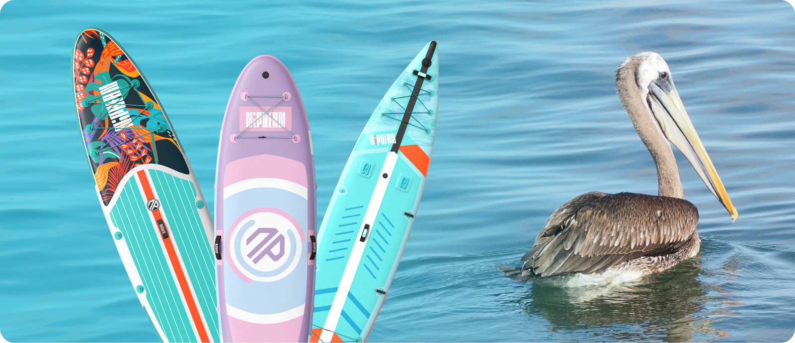 What to Do If You Encounter Wildlife While Paddle Boarding