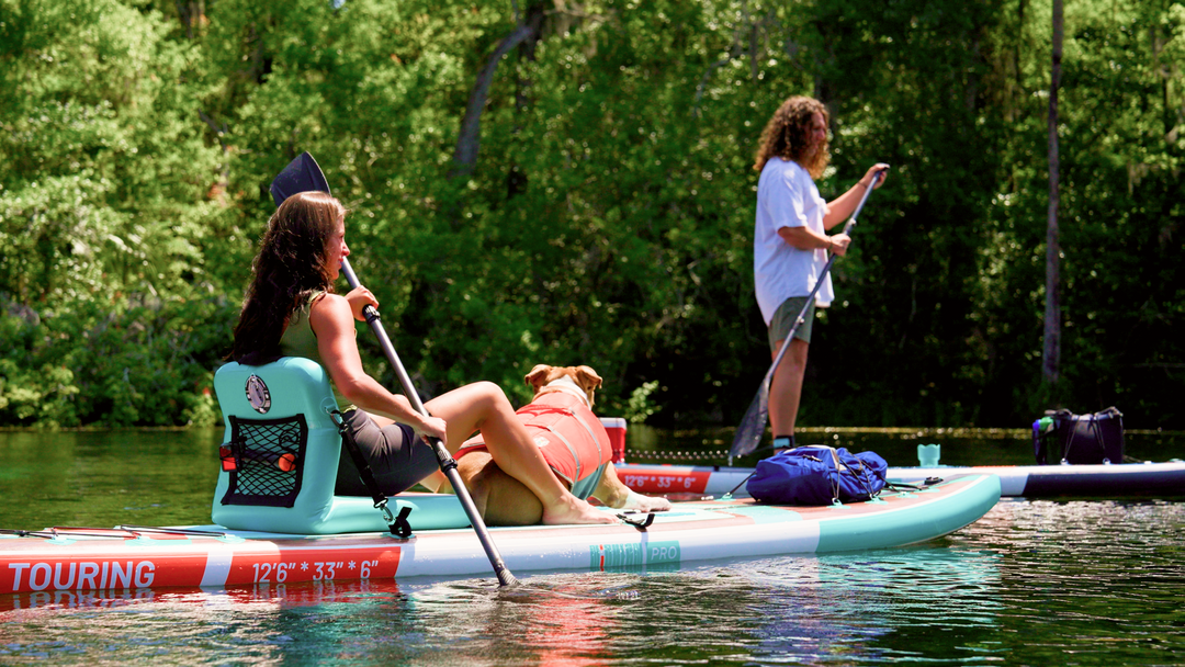 Paddle Boarding with Pets: Everything You Need to Know