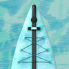Palmjay